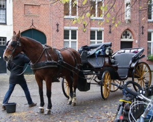 観光馬車